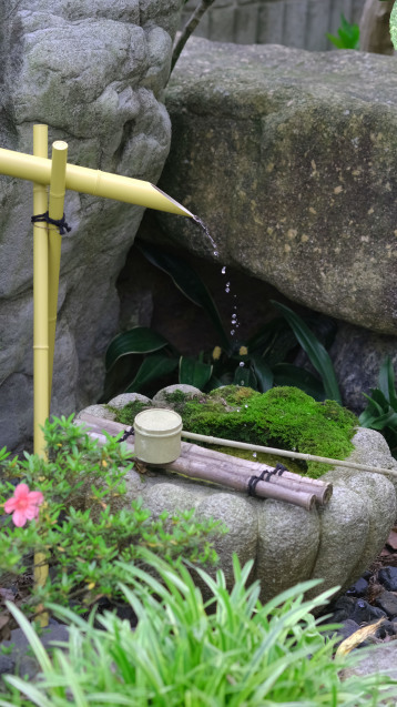 お花畑計画続行中・・・経過報告です_d0377645_00043507.jpg
