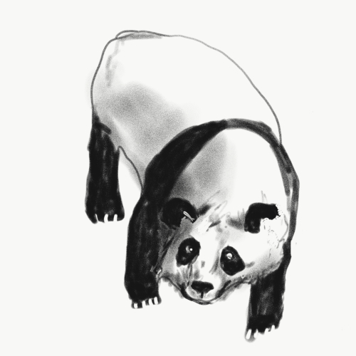 動物スケッチ 無地ブログ 動物スケッチ 無地ブログ