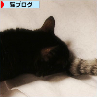 腹出しパッカーン_a0389088_06163513.jpg