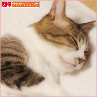腹出しパッカーン_a0389088_06163552.jpg