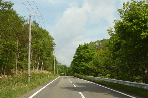 しょか隊長佇む_e0414191_07541589.jpg
