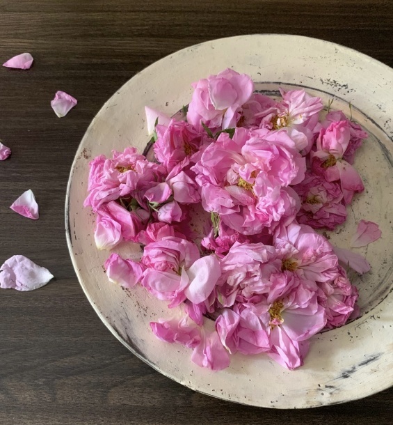 薔薇仕事。_e0404027_17253662.jpeg
