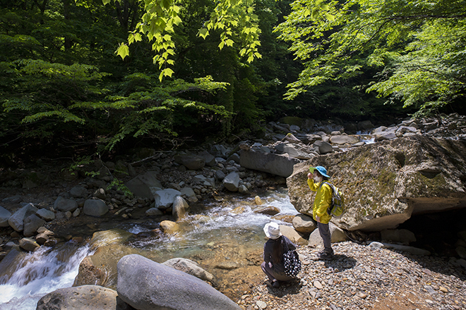 那須塩原　初夏のスッカン沢ハイキングはおススメ！_e0227942_21493703.jpg