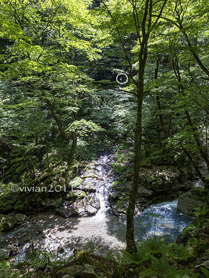 那須塩原　初夏のスッカン沢ハイキングはおススメ！_e0227942_21540605.jpg