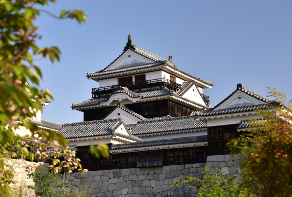 伊予国 松山・南予かいわい_e0164563_15412724.jpg