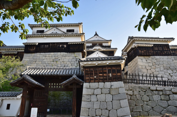 伊予国 松山・南予かいわい_e0164563_15413303.jpg