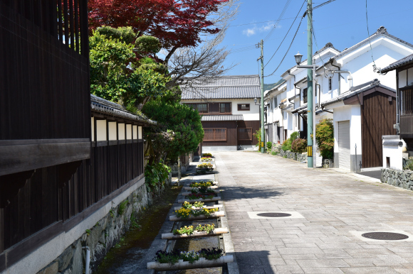 伊予国 松山・南予かいわい_e0164563_15431547.jpg