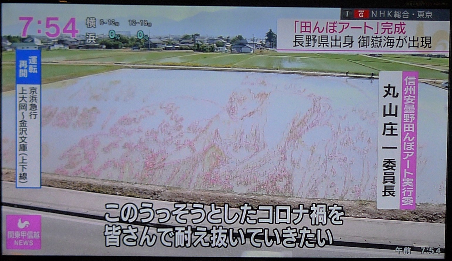 5 695 安曇野 田んぼアート 御嶽海 三百六十五連休