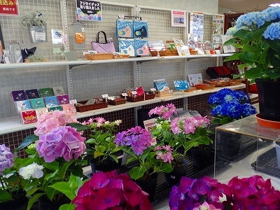 少し遅れてアジサイのグッズ_f0203094_15550235.jpg