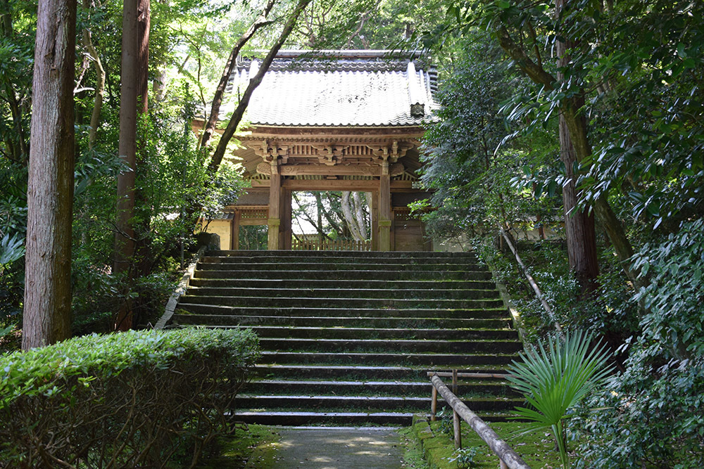 近江佐和山城攻城記。 その2 <登山道~西の丸>_e0158128_15504212.jpg