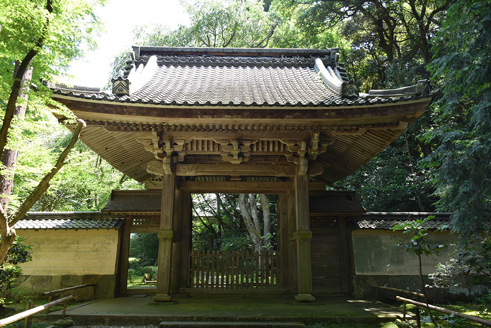 近江佐和山城攻城記。 その2 <登山道~西の丸>_e0158128_15504508.jpg