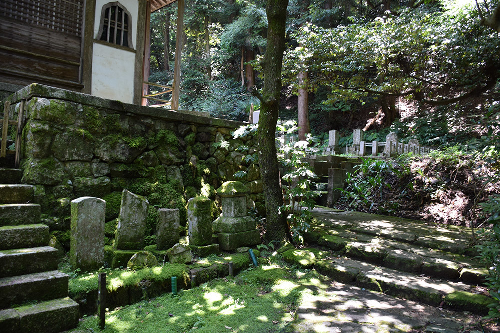 近江佐和山城攻城記。 その2 <登山道~西の丸>_e0158128_15525130.jpg