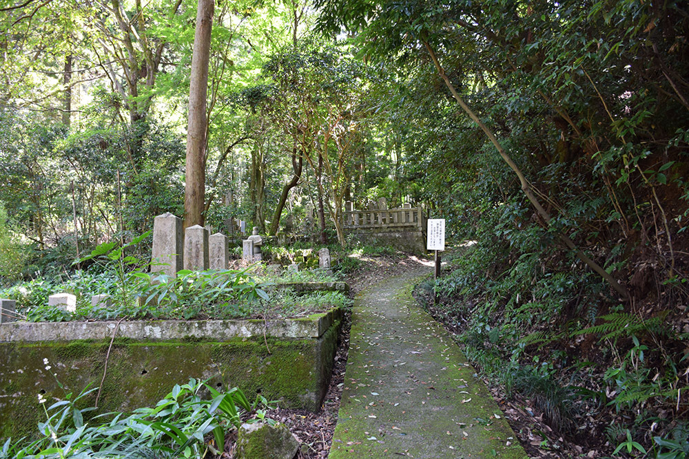 近江佐和山城攻城記。 その2 <登山道~西の丸>_e0158128_15525979.jpg