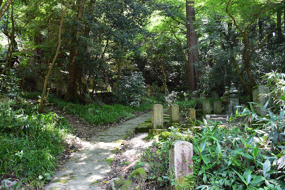 近江佐和山城攻城記。 その2 <登山道~西の丸>_e0158128_15543781.jpg