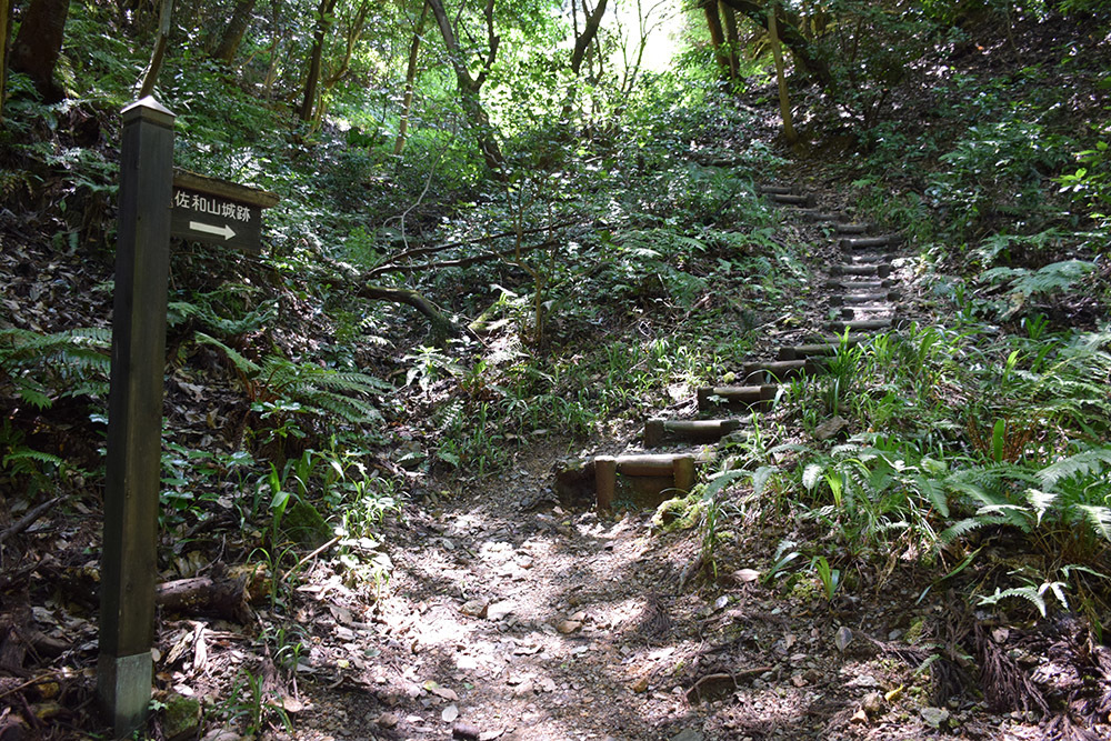 近江佐和山城攻城記。 その2 <登山道~西の丸>_e0158128_15544187.jpg
