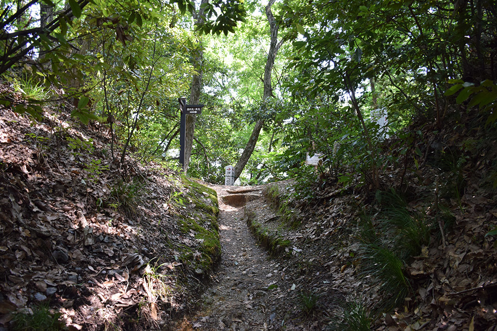 近江佐和山城攻城記。 その2 <登山道~西の丸>_e0158128_16230400.jpg