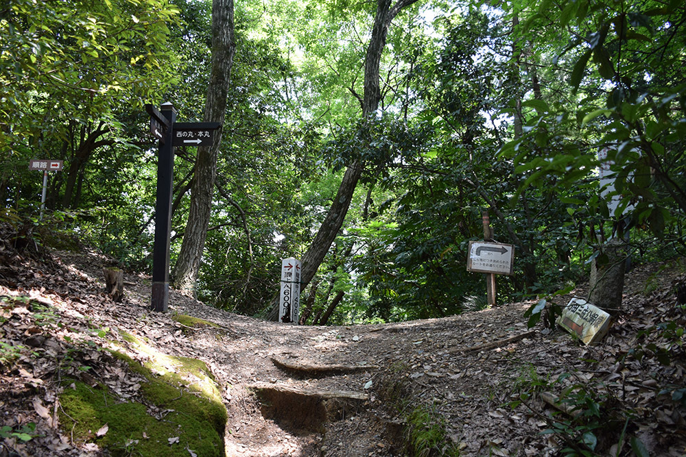 近江佐和山城攻城記。 その2 <登山道~西の丸>_e0158128_16241803.jpg