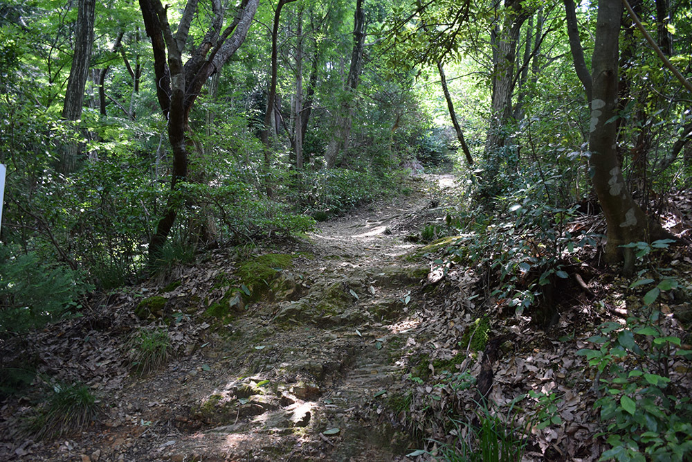 近江佐和山城攻城記。 その2 <登山道~西の丸>_e0158128_16264628.jpg