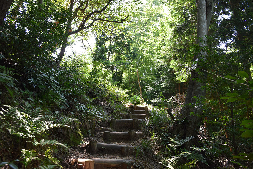 近江佐和山城攻城記。 その2 <登山道~西の丸>_e0158128_16265453.jpg