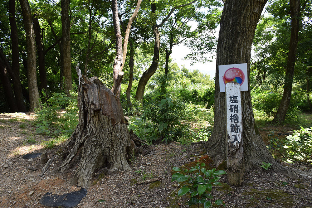 近江佐和山城攻城記。 その2 <登山道~西の丸>_e0158128_16280515.jpg