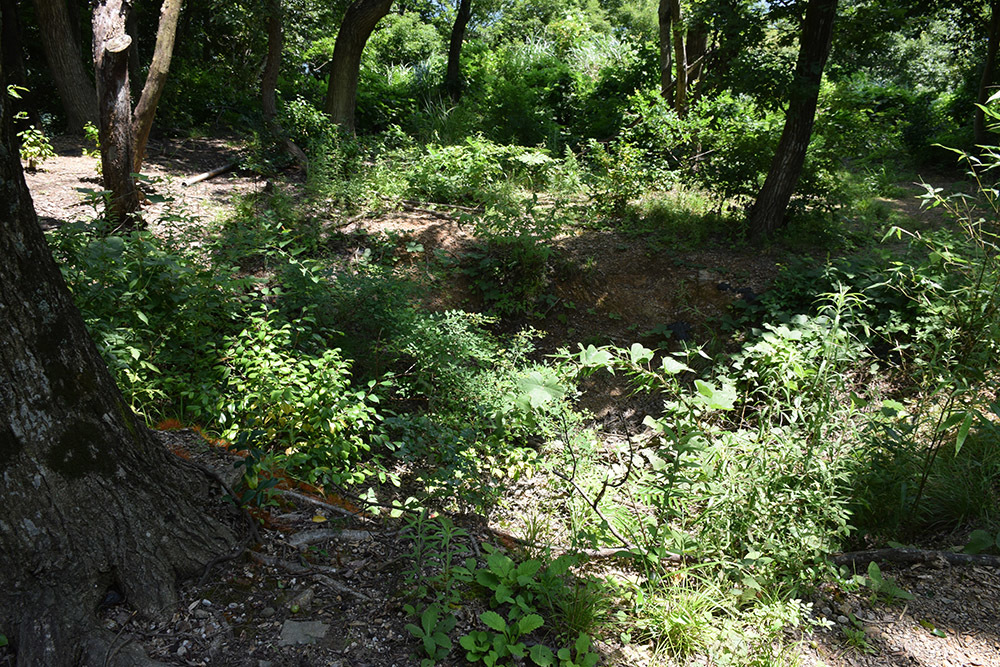 近江佐和山城攻城記。 その2 <登山道~西の丸>_e0158128_16295995.jpg