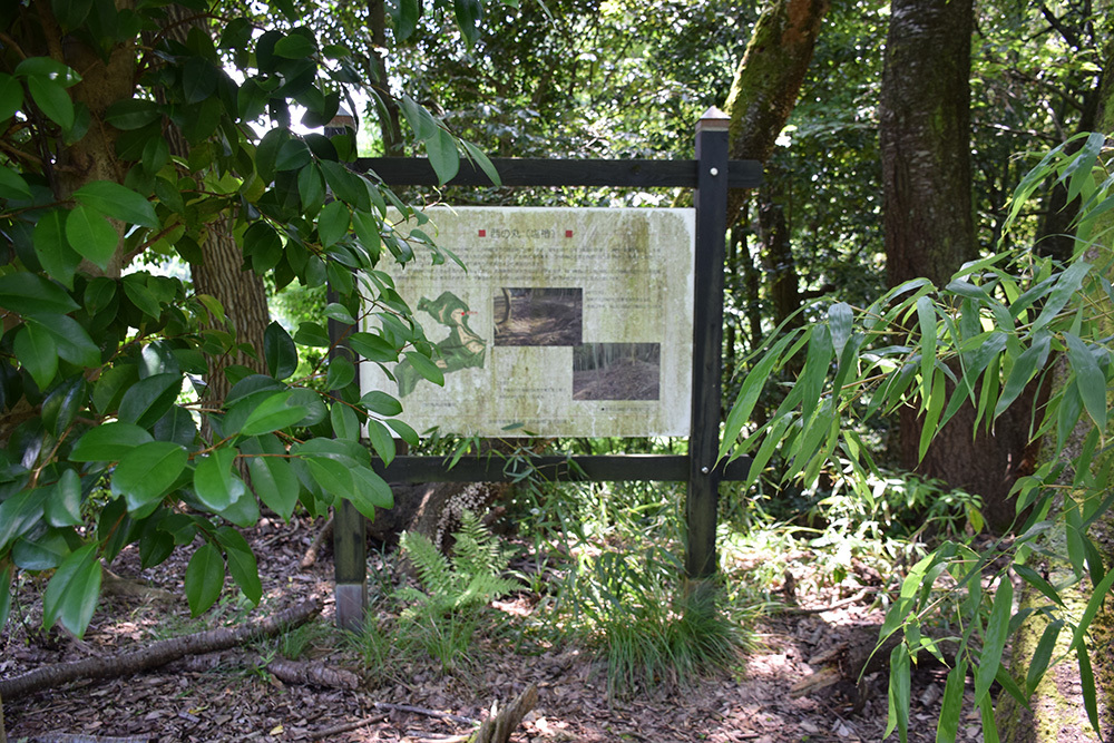 近江佐和山城攻城記。 その2 <登山道~西の丸>_e0158128_16324620.jpg
