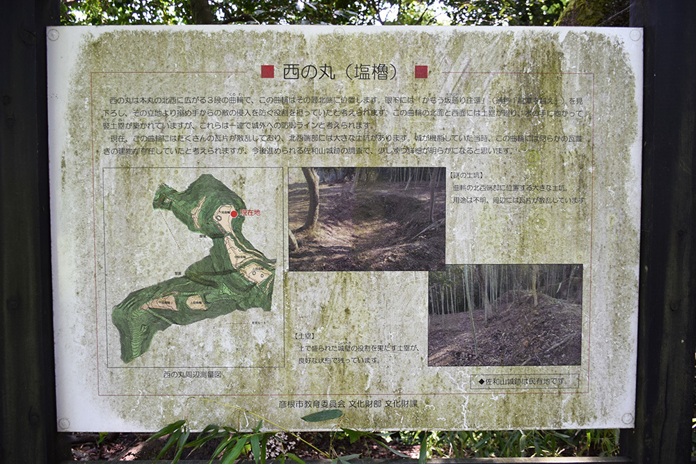 近江佐和山城攻城記。 その2 <登山道~西の丸>_e0158128_16324864.jpg