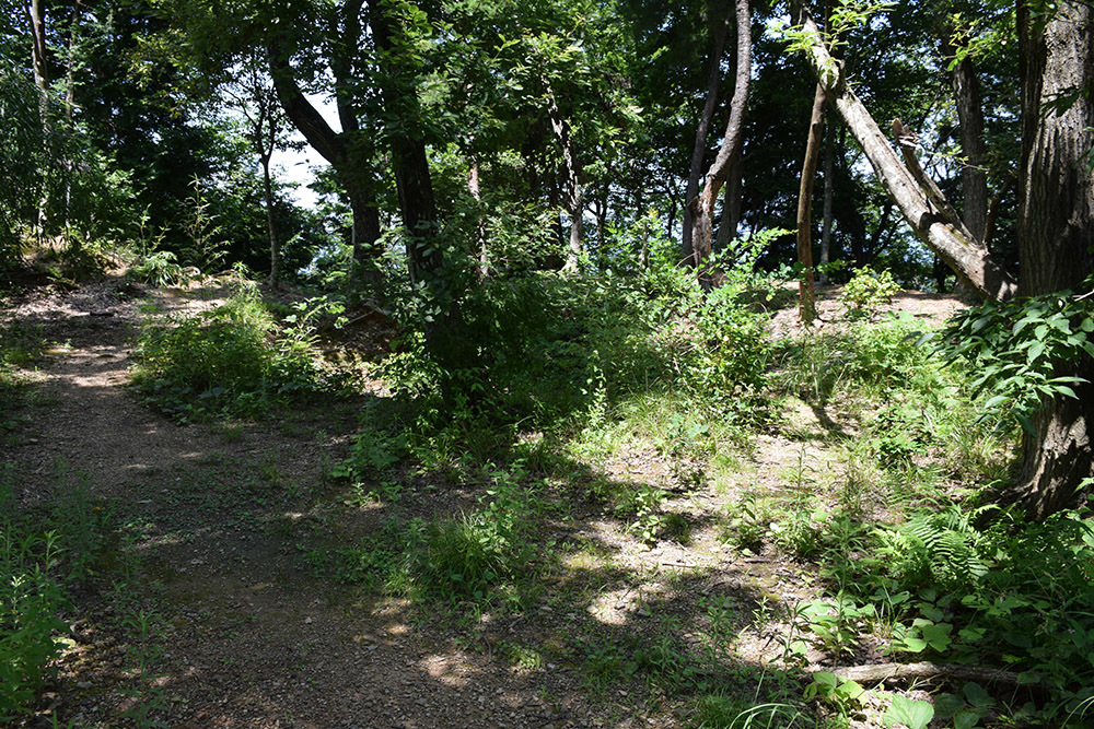 近江佐和山城攻城記。 その2 <登山道~西の丸>_e0158128_16341802.jpg