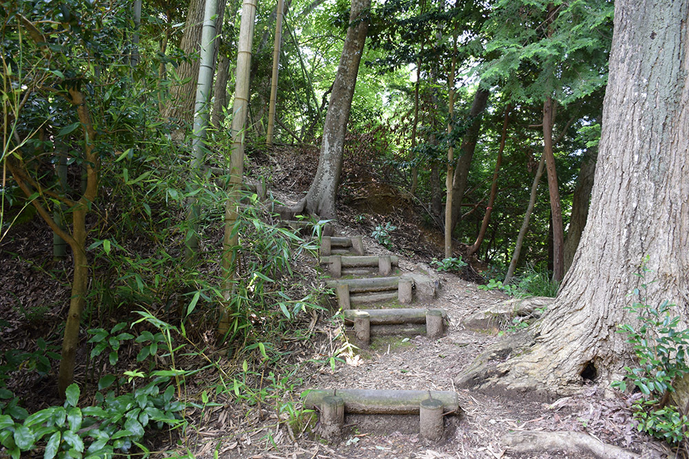近江佐和山城攻城記。 その2 <登山道~西の丸>_e0158128_16365644.jpg