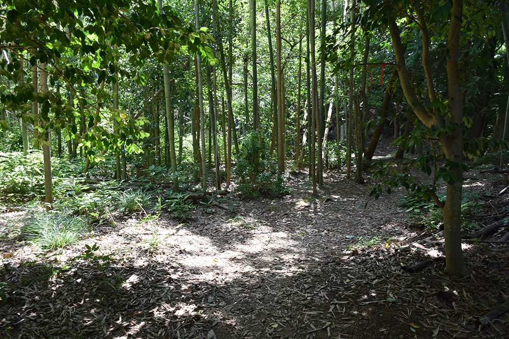近江佐和山城攻城記。 その2 <登山道~西の丸>_e0158128_16374979.jpg
