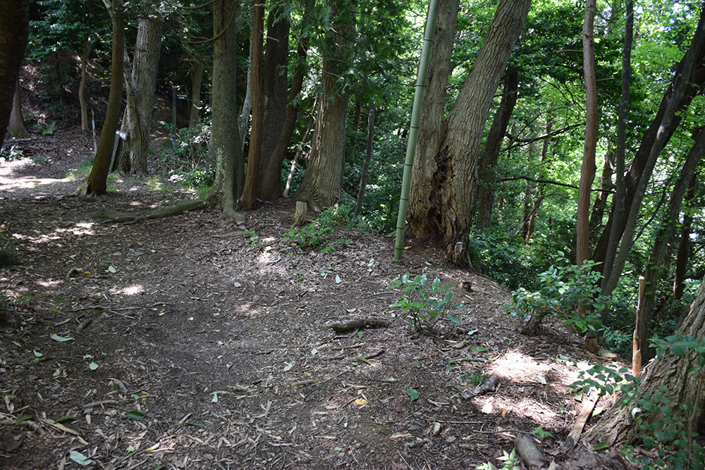 近江佐和山城攻城記。 その2 <登山道~西の丸>_e0158128_16413844.jpg