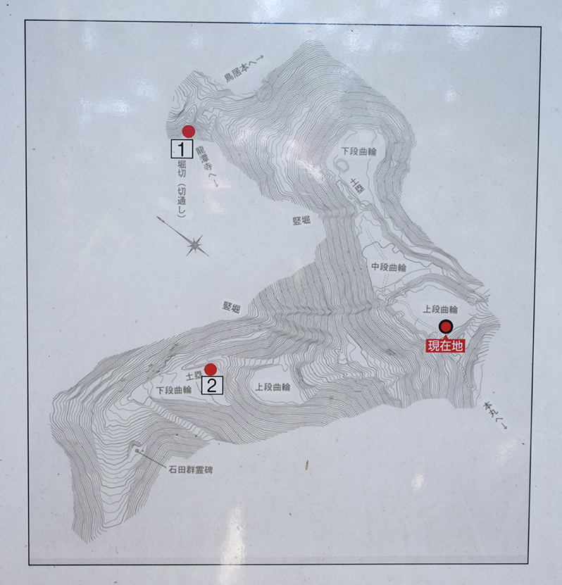 近江佐和山城攻城記。 その2 <登山道~西の丸>_e0158128_16451422.jpg