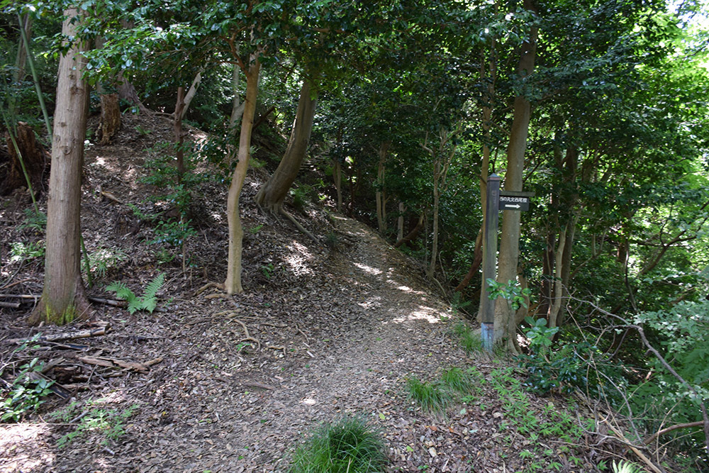 近江佐和山城攻城記。 その2 <登山道~西の丸>_e0158128_16482649.jpg