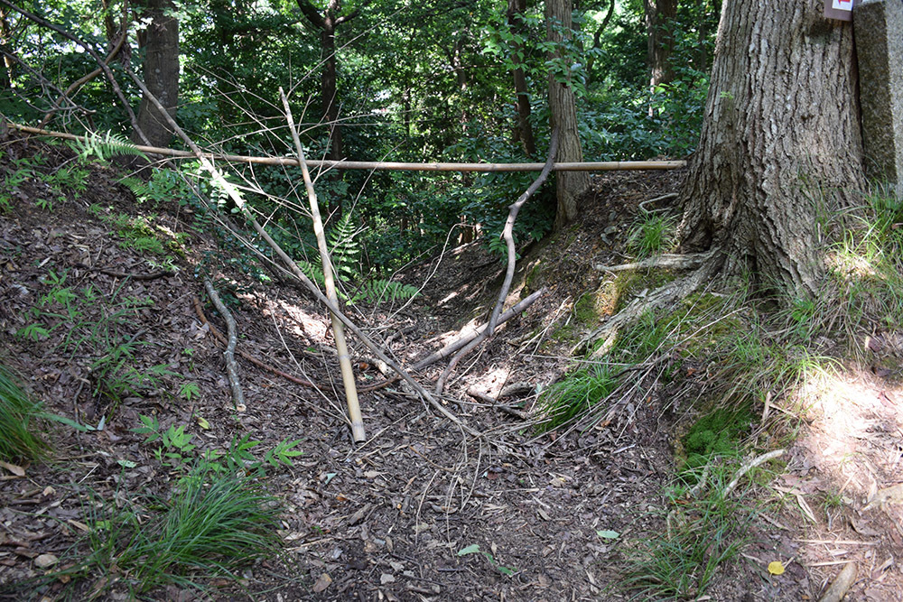 近江佐和山城攻城記。 その2 <登山道~西の丸>_e0158128_16495956.jpg