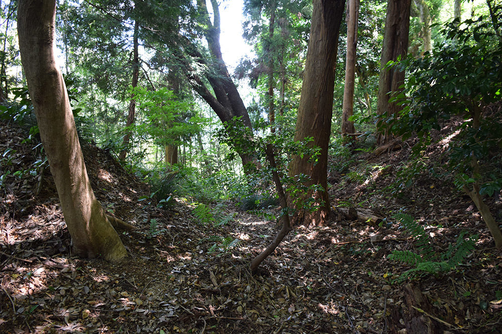 近江佐和山城攻城記。 その2 <登山道~西の丸>_e0158128_16511032.jpg