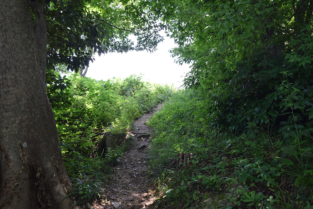 近江佐和山城攻城記。 その2 <登山道~西の丸>_e0158128_16525309.jpg