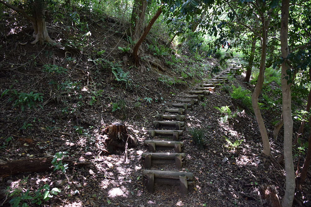 近江佐和山城攻城記。 その2 <登山道~西の丸>_e0158128_16525946.jpg