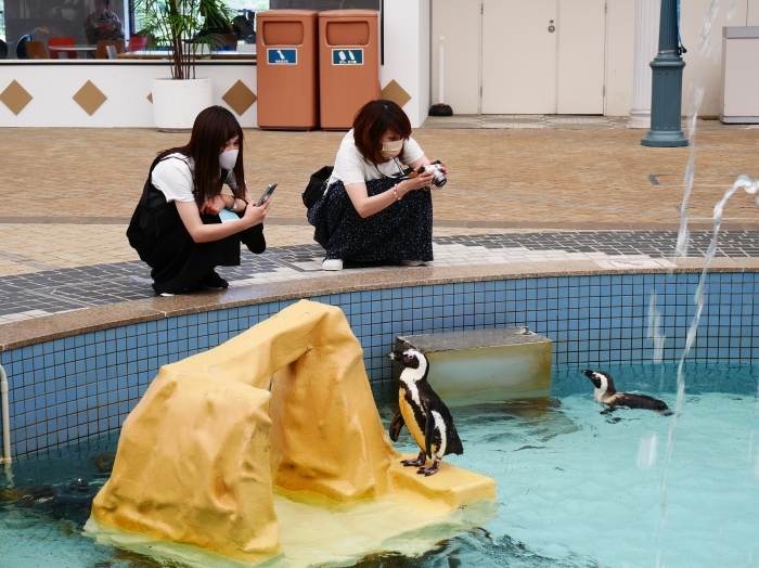 　　アドベンチャーワールド　白浜駅からアドベンチャーワールドへ　　２０２１-０６-１２　００：００_b0093754_20423071.jpg