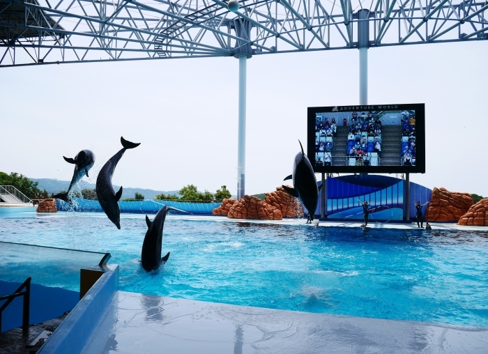 　　アドベンチャーワールド　白浜駅からアドベンチャーワールドへ　　２０２１-０６-１２　００：００_b0093754_20462233.jpg