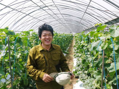 熊本産高級マスクメロン『肥後グリーン』はこれからが旬!2つの食感が楽しめお中元にも大人気! _a0254656_17412375.jpg