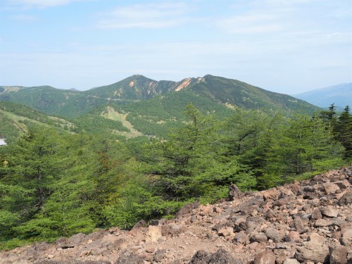 黒斑山 アサマコザクラを愛で外輪山周回　　2021.６.８(火)_b0335256_12583736.jpg