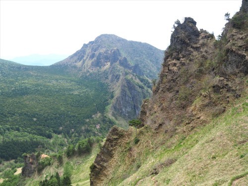 黒斑山 アサマコザクラを愛で外輪山周回　　2021.６.８(火)_b0335256_13071308.jpg