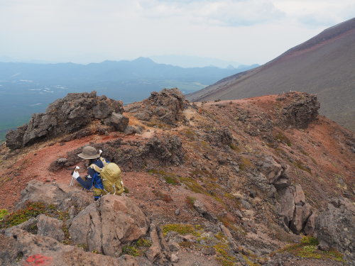 黒斑山 アサマコザクラを愛で外輪山周回　　2021.６.８(火)_b0335256_13183075.jpg