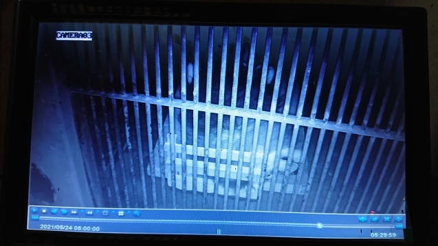 監視カメラ…？_c0290504_14581186.jpg