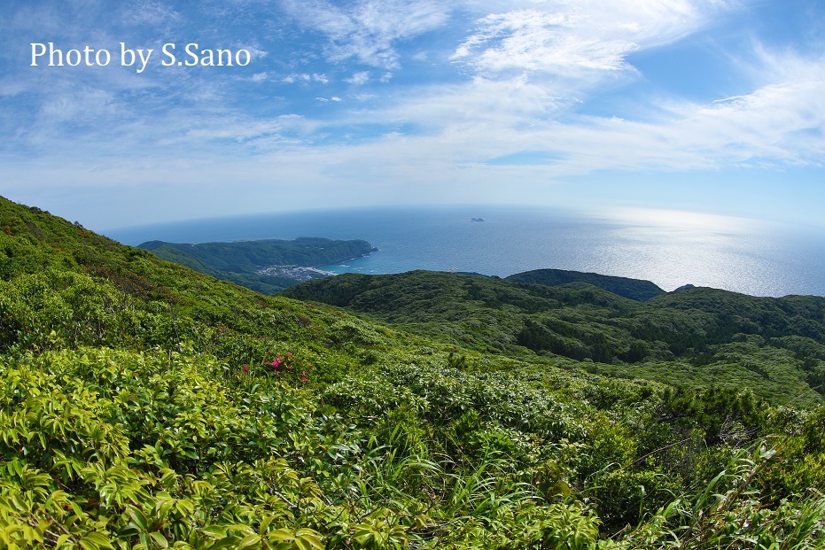 神津島の旅_b0348205_10362521.jpg