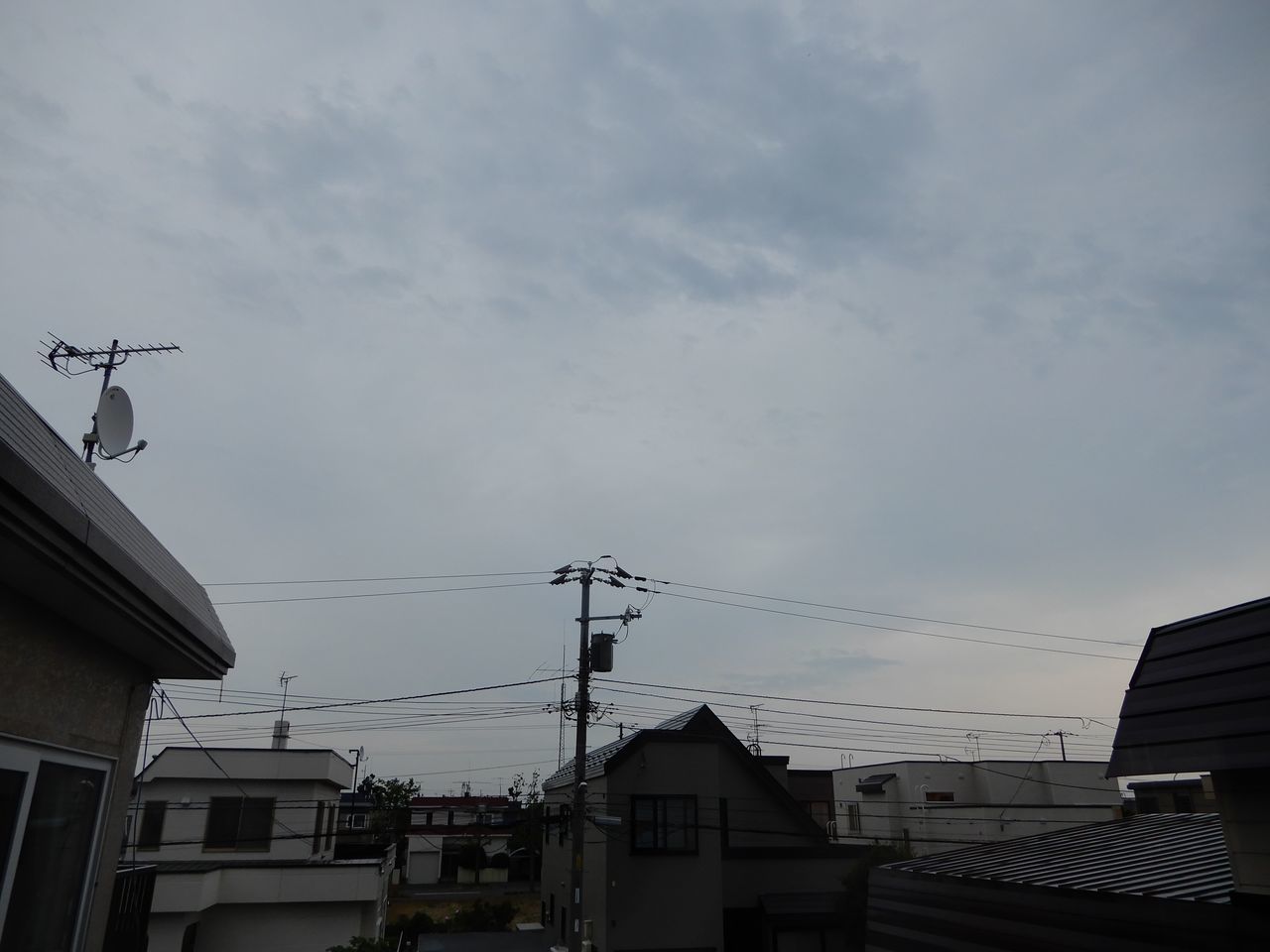 今日は夏日にも届かず_c0025115_21175501.jpg