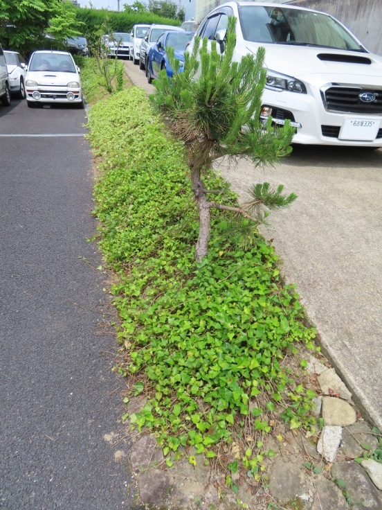 重厚感と鈍重_f0076731_21052870.jpg