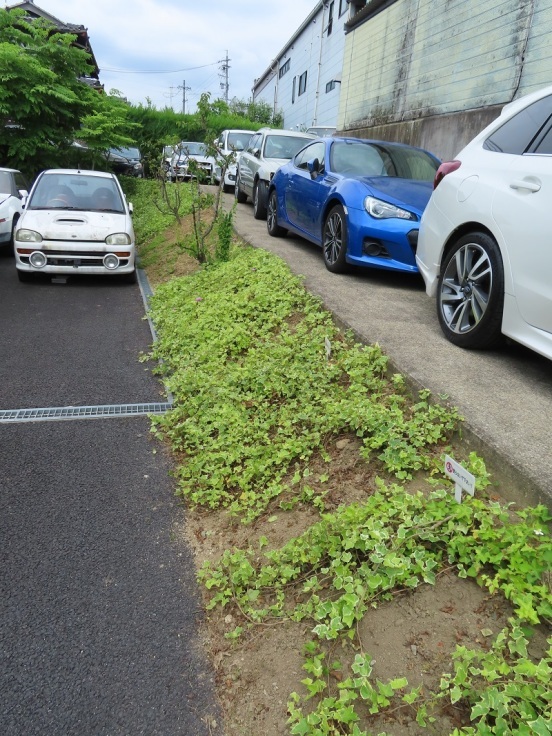 重厚感と鈍重_f0076731_21053860.jpg