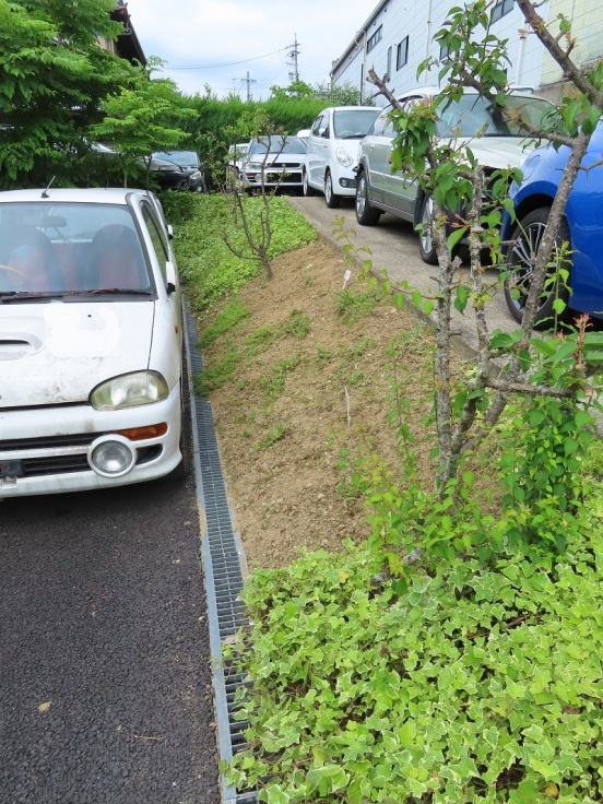 重厚感と鈍重_f0076731_21055489.jpg