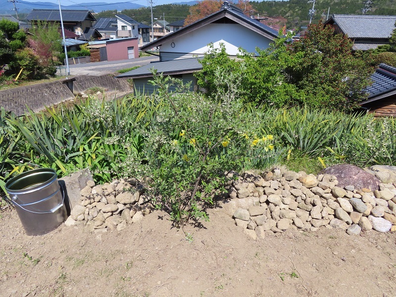 重厚感と鈍重_f0076731_21064395.jpg